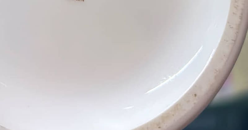 リサイクルセンターで良さげな250円の花瓶を購入→帰ってきて底を見たら…… “とんでもない掘り出し物”が115万表示「強運」「破格!!」