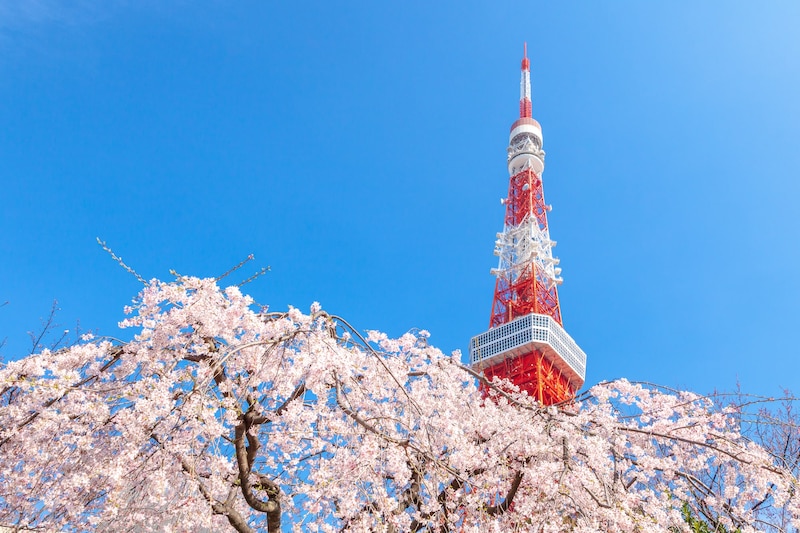 「東京都の花見の名所」一番行ってみたいのは? 江戸時代から桜の名所として親しまれるスポットなどを紹介!