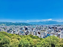 【画像：ランキング20位～1位を見る】