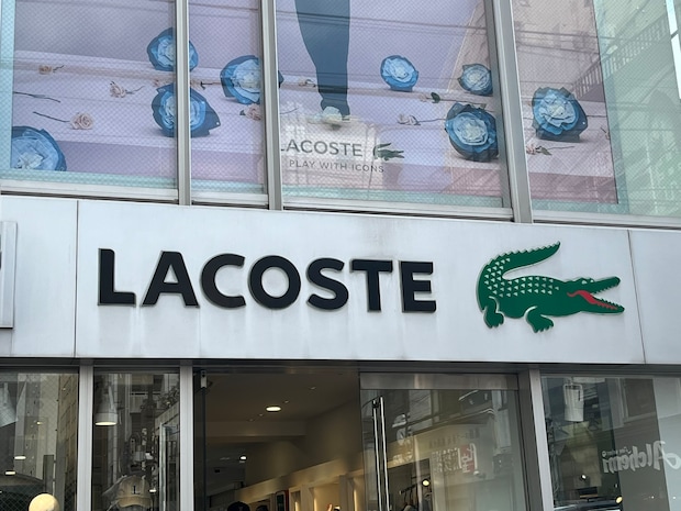 「家族で共用してます」LACOSTE（ラコステ）の“小さめショルダーバッグ”に絶賛の声 「意外とたくさん入る」「ちょうどいいサイズです」