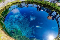 【画像：ランキング20位～1位を見る】