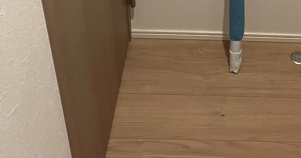 5歳児と夫がお留守番→妻が帰ってきたら……「すごい!!」 “まさかの光景”に「家にハチワレいるのかと思いました」