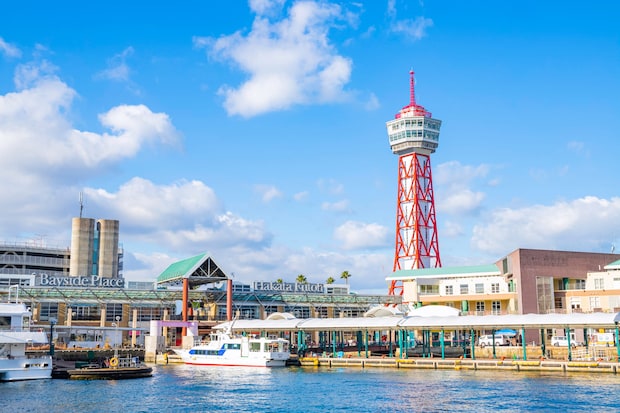 「なんだ、これは!美味い」 福岡県の“縁起のいい猫様のお菓子”がウマくてかわいくて最高 「食感を凄く大切に作っているのが伝わる」「お土産に喜ばれます」