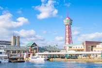 「なんだ、これは！美味い」　福岡県の“縁起のいい猫様のお菓子”がウマくてかわいくて最高　「食感を凄く大切に作っているのが伝わる」「お土産に喜ばれます」