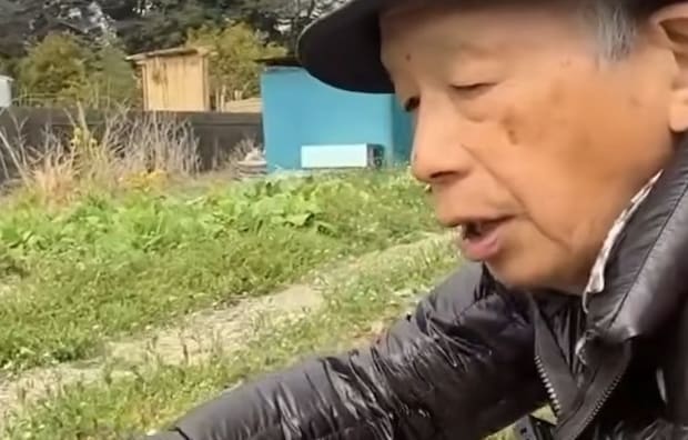 水もやってない放置畑→春になると勝手に……　「不思議」まさかの光景に「なんの苦労もなくありがたい」「魅力的」