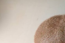 変な形の“キモいキウイ”を切る→中身は……「すぅぅぅごい！」　不気味すぎる驚がくの中身に「現実がバグったような」「鳥肌立った」