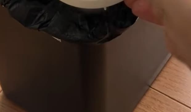 ズボラ主婦のゴミ箱から育ったのは、まさかの……　338日後、衝撃の光景に「すごい」「プライスレスですね」