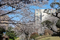 「真面目だけどいい学校」　九州で“学生に人気の大学”に集まった声！「地域や園からの信頼が大きい」「天神や博多が近いので放課後なども充実」