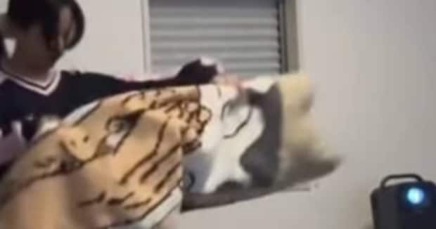 編み物にハマった女性、1カ月寝る間も惜しんでコツコツ編み続けた結果……　“圧巻の作品”に484万再生「え？ え？ え？」「今まで見た編み物で1番すごい」