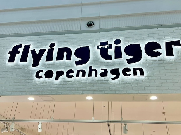 「速攻売り切れ」「可愛すぎ」フライングタイガーの“ピクニックセット”が大人気　「丈夫だし持ち運びしやすいし最高」「公園でのんびりするの楽しみすぎ」今だけ限定価格に！