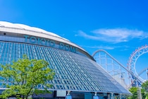 【画像】丸選手のプロデュース弁当