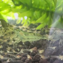 【画像】想定外すぎる光景