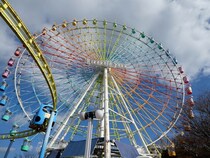 【画像：ランキング23位～1位を見る】