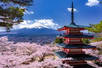 旅行のプロが選ぶ「春の絶景自治体」ランキングTOP30！　第1位は「富士吉田市（山梨県）」【2025年最新調査結果】