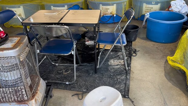 高級錦鯉からちょっと目を離した隙に“ギャング”がやってきて……　現行犯の衝撃的な光景に「ウソだろお前」「はぁ～？？」