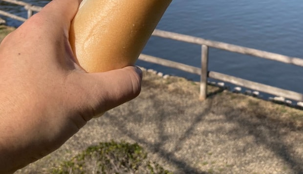 神奈川の庭園で見つけた“変わったコイの餌”→水面に近づけると……　驚がくの光景に「魚好きには堪らん」「トラウマになりそう（笑）」