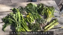【画像】完成した料理