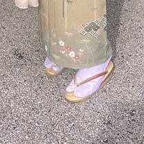 【画像】総柄の訪問着