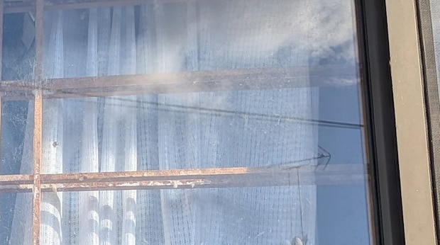 紙がない障子→放置されているワケは…… 理由が一発で分かる“まさかの光景”に「え、なにこれ、最高」「こんな光景を外から見たい」