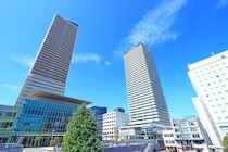 【画像：ランキング28位～1位を見る】