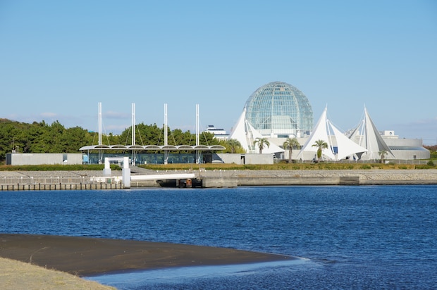 「隣に住みたい」 都民が“行きたい水族館”ランキング上位に「館内ひろ〜〜くて回りやすい」「大人でも楽しめる水族園」「入園料も安い」の声