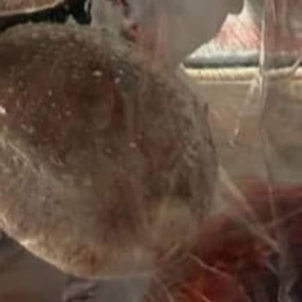 母「スーパーでしいたけ買ってきて」→息子が買ってきたのは…… 「声出して笑った」まさかの購入品に「コレが売ってるスーパーがすごい」