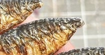 【画像】ネイルチップみたいな焼き鯖