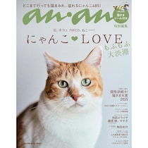 「猫種」人気ランキングTOP10！　第1位は「ミックス」【2月22日は猫の日】