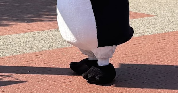 Suicaのペンギンが突然、お客さんから盗んだのは……「まさかのもの」に38万表示の反響　「カ、カワイイイィ」