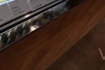 “ど田舎のケーキ屋”で2月22日にショーケースを見ると……　「たまんねぇ…！！」天国すぎる圧巻の光景が76万表示