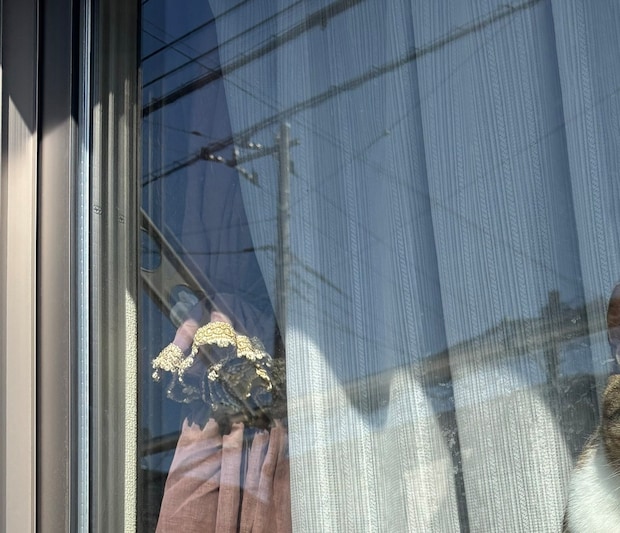 「通行人が手を振ってくれるから1時間この状態」→まさかの理由が「サービスいいなぁ」「絶対手を振っちゃいます！」