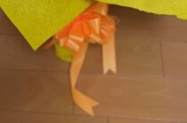【画像】まさかのサプライズ（全体を見る）