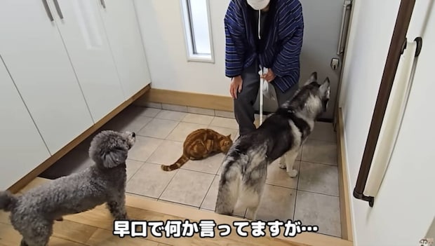 近所のじいちゃんが血相を変えてやってきて……？　まさかの“オチ”に「面白すぎる」「一杯食わされました」