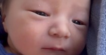 【画像】れあくんの日常をもっと見る