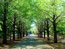 【首都圏版】公園が充実している「住みたい街（駅）」ランキングTOP10！　第1位は「光が丘」【2026年最新調査結果】