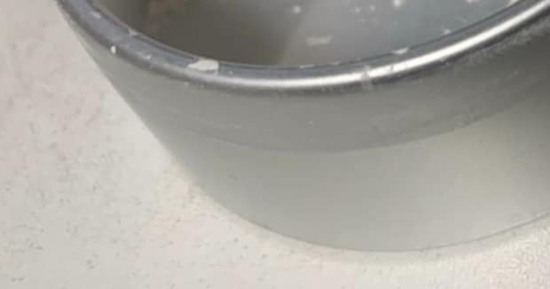 上着のポケットに龍角散を入れたまま洗濯→おそるおそる取り出して見ると…… まさかの中身に「はんぱねぇ!」「面構えが違う」