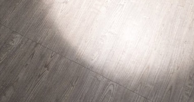 ぐっすり眠るワンちゃん→光を当てただけで……　まるで“アニメの最終回”みたいな光景が490万表示　「天使が連れてくパターン」