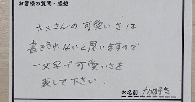 客「カメさんのかわいさを1文字で表して」→飼育員の思わずうなる回答が630万表示「意味わかるやついるのか」「秀逸すぎる」