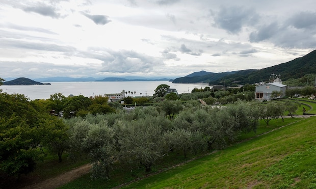 「ここ日本?」まるで地中海…絶景すぎる道の駅が話題! 「絵葉書を切り取ったような最高の眺め」「ゆっくりと過ごせる」