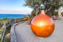 「ここ、ほんまに最高です！」　迫力満点の景色が楽しめる“兵庫県の道の駅”が人気なワケ　「眺めは素晴らしいの一言」「バーガーがめちゃくちゃおいしい」「トイレがとても綺麗」など絶賛の声