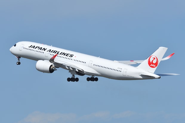 「これはいいです！！」　JALオリジナルの“ポケッタブルトートバッグ”が高評価　「生地がしっかりしてる」「スーツケースへの固定もばっちり」