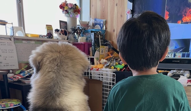 0歳の子犬と男の子→時は流れ…… 信じられない“現在のふたり”に「凄い!感激ですっ!」「そっちのパターン!?」