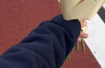 花屋「クジャクガーベラ入荷しました」→「すっご!!!!」刺さる人にはぶっ刺さる“衝撃のビジュ”に反響「めっちゃ欲しい」