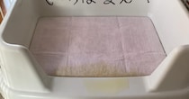 友人の「ペット用トイレ」をよく見たら……「吹いた」　斬新すぎる“お願い”に「面白すぎる」「優しさでてる」