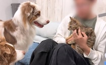 子猫を食べちゃいたい大型犬→“まさかの行動”に……　「迫力有るわ」「風呂上がりくらい濡れてる」