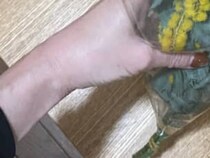 【画像】息子が買ってきたもの（全体を見る）