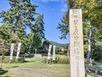 【画像：ランキング28位～1位を見る】