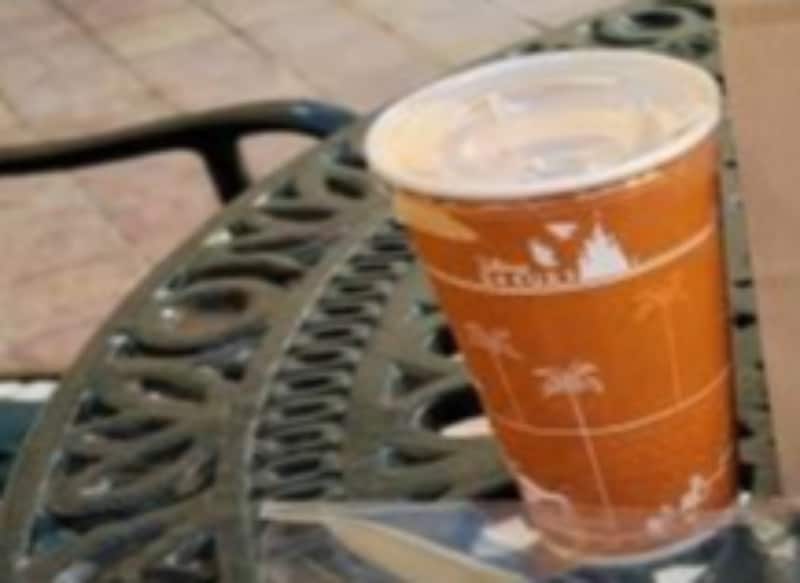 1800円で「ディズニー気分を味わう裏技」って？　納得の光景へ「わかってしまう」「うらやましすぎます」