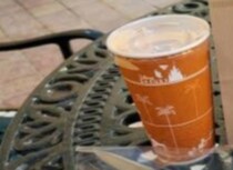 1800円で「ディズニー気分を味わう裏技」って？　納得の光景へ「わかってしまう」「うらやましすぎます」