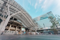 【30代以下が選ぶ】買ってきてほしい「博多土産」ランキングTOP12！　第1位は「雪うさぎ」【2025年最新調査結果】